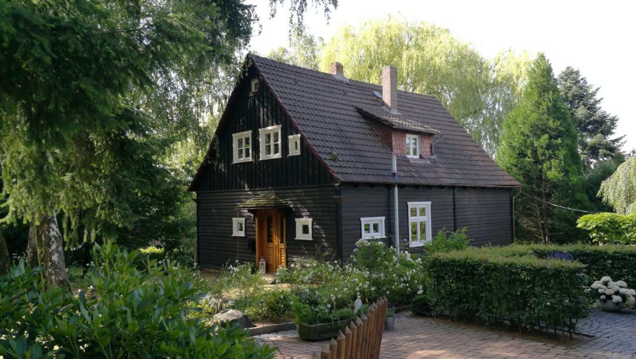"Haus Am Knobben" Villa Uslar Luaran gambar