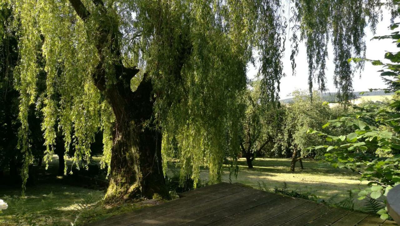 "Haus Am Knobben" Villa Uslar Luaran gambar