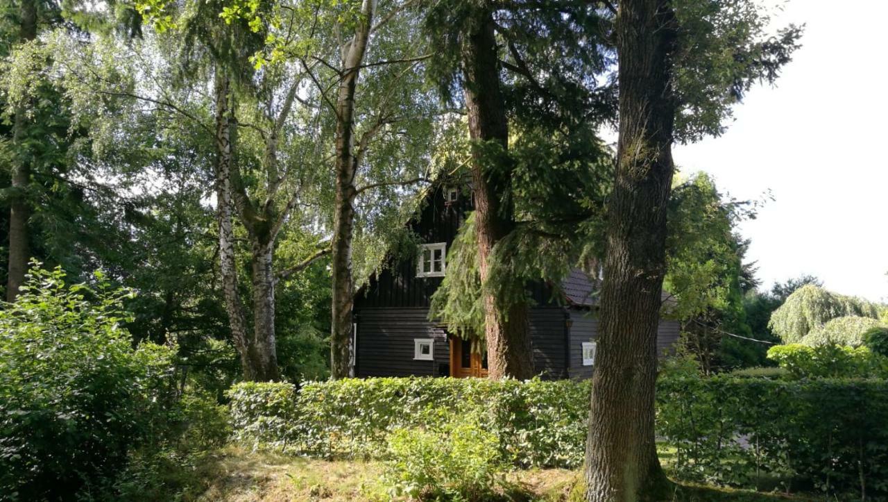 "Haus Am Knobben" Villa Uslar Luaran gambar