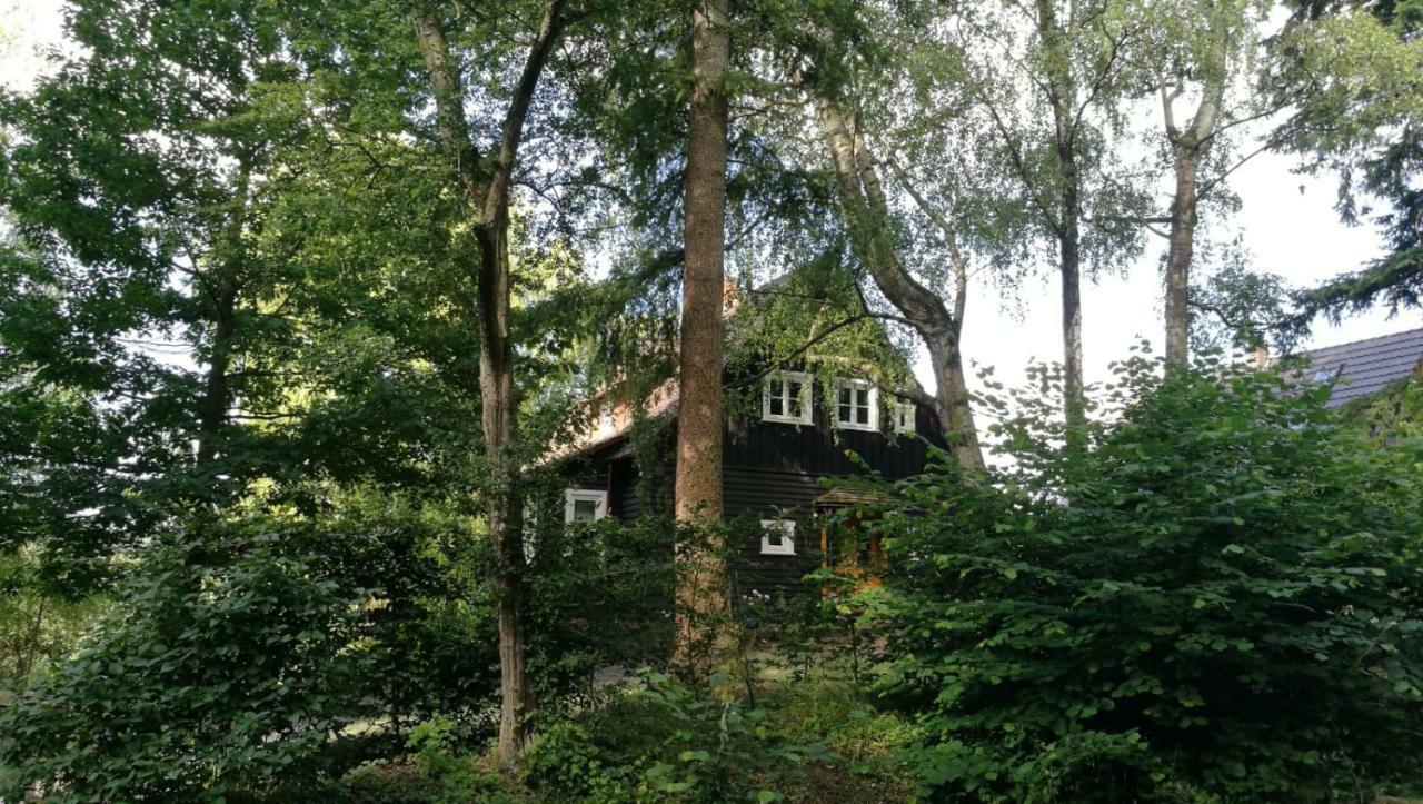 "Haus Am Knobben" Villa Uslar Luaran gambar