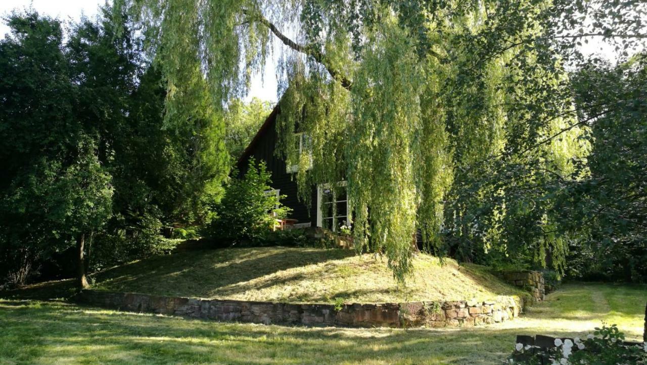 "Haus Am Knobben" Villa Uslar Luaran gambar